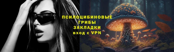 ешки Дмитровск