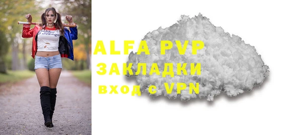хмурый Ельня