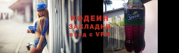 хмурый Ельня