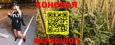 сатива Кинель