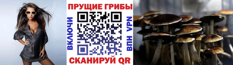 Галлюциногенные грибы прущие грибы Татарск