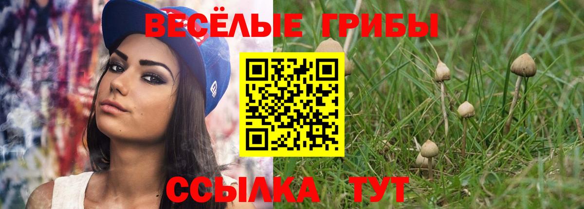 Псилоцибиновые грибы Cubensis Татарск