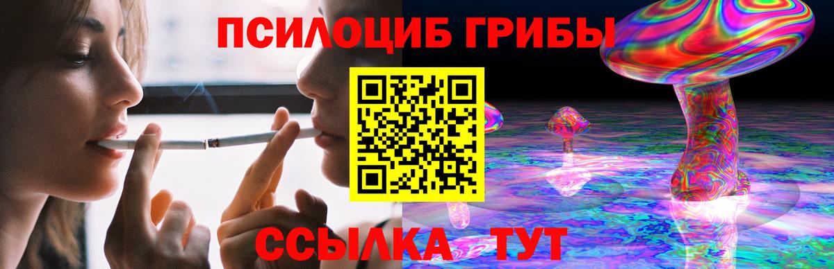 Псилоцибиновые грибы ЛСД  где купить   Татарск  Вход с VPN 